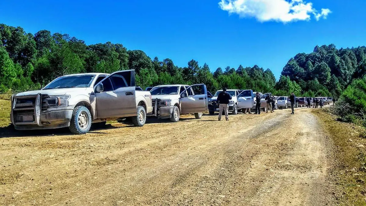 Operativo en la Sierra (1)